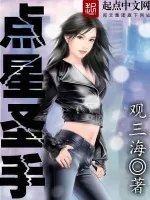《点星圣手》小说封面
