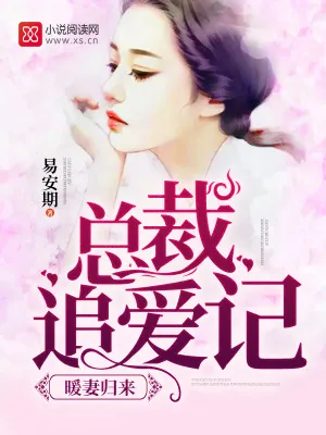 《暖妻归来：总裁追爱记》小说封面