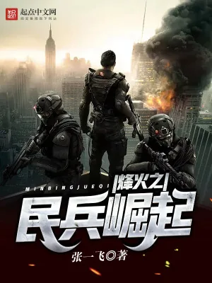 《烽火之民兵崛起》小说封面