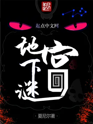 《地下谜宫》小说封面