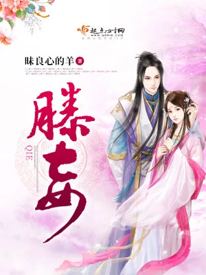 《滕妾》小说封面