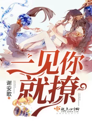 《一见你就撩》小说封面