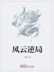 《风云逆局》小说封面