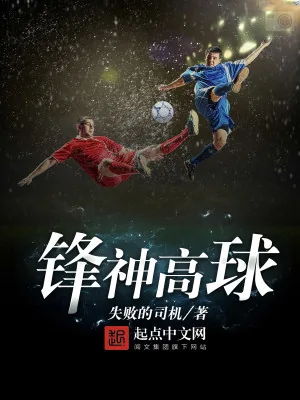 《锋神高球》小说封面