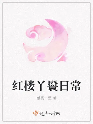 《红楼丫鬟日常》小说封面