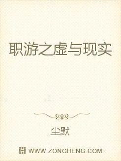 《职游之虚与现实》小说封面
