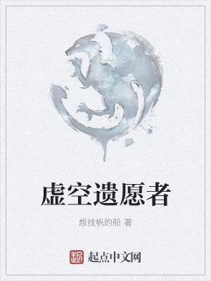 《虚空遗愿者》小说封面