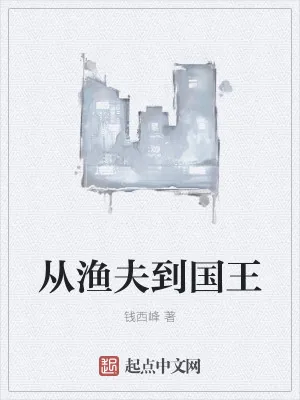 《从渔夫到国王》小说封面