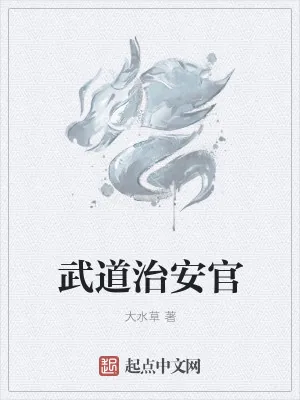《武道治安官》小说封面