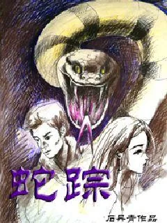 《蛇踪》小说封面