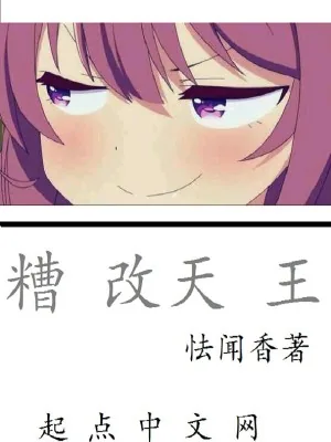 《糟改天王》小说封面