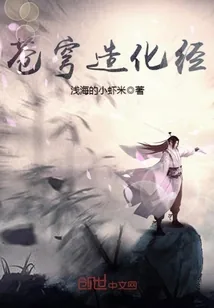 《苍穹造化经》小说封面