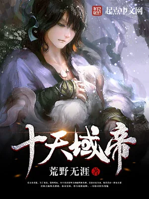 《十天域帝》小说封面