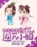 《通灵人日记：灵魂说》小说封面