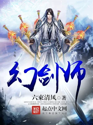 《幻剑师》小说封面