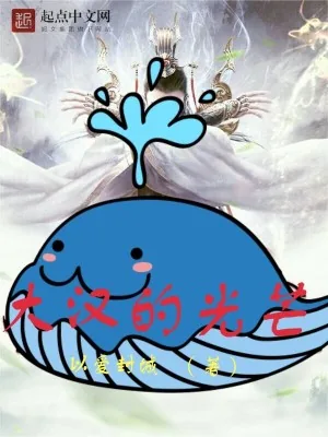 《大汉的光芒》小说封面