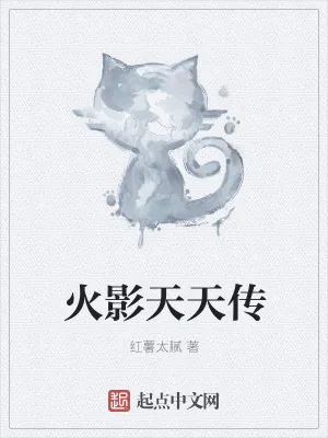 《火影天天传》小说封面