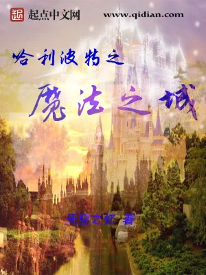 《哈利波特之魔法之城》小说封面