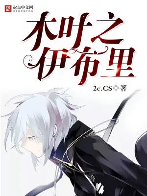 《木叶之伊布里》小说封面