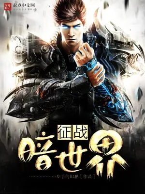 《征战暗世界》小说封面
