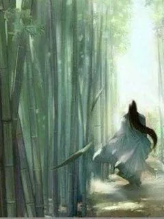 《侠恶无双》小说封面