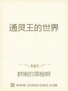 《通灵王的世界》小说封面