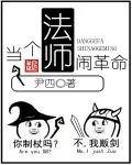 《当个法师闹革命》小说封面