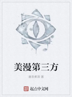 《美漫第三方》小说封面