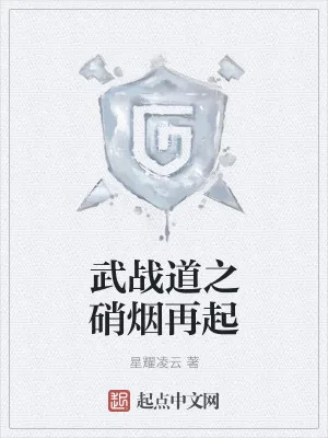 《武战道之硝烟再起》小说封面