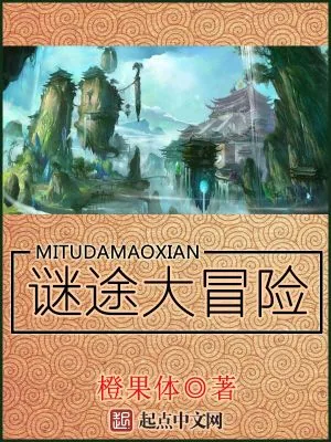 《谜途大冒险》小说封面