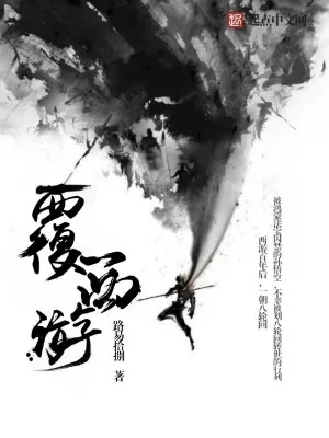 《覆西游》小说封面