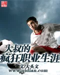 《大叔的疯狂职业生涯》小说封面