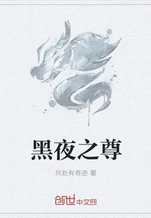 《黑夜之尊》小说封面