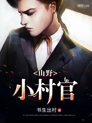《山野小村官》小说封面