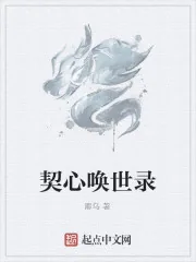 《契心唤世录》小说封面