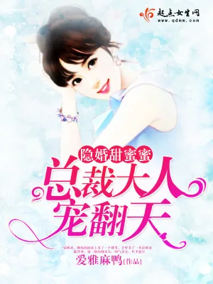 《隐婚甜蜜蜜:总裁大人宠翻天》小说封面