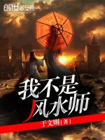 《我不是风水师》小说封面