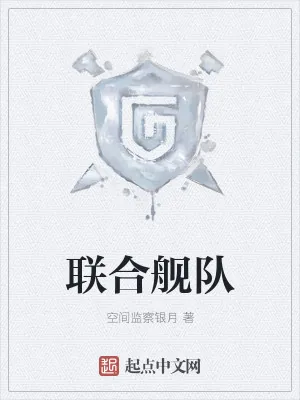 《联合舰队》小说封面