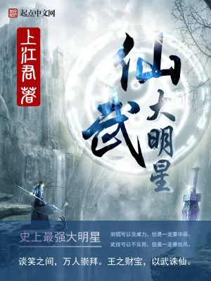 《仙武大明星》小说封面