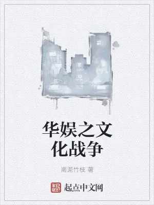 《华娱之文化战争》小说封面