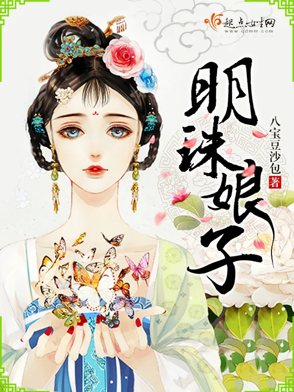 《明珠娘子》小说封面
