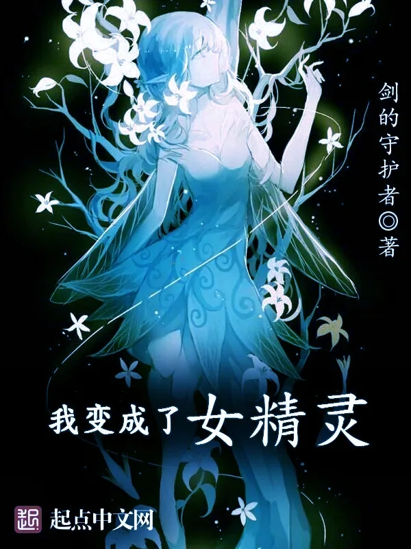 《我变成了女精灵》小说封面