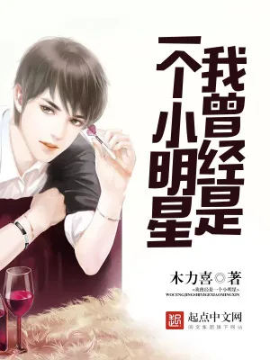 《我曾经是一个小明星》小说封面