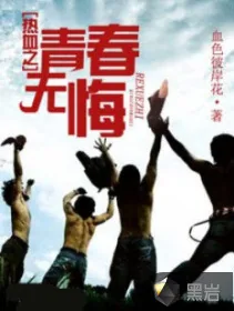 《热血之青春无悔》小说封面