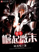 《重生崛起微末》小说封面