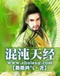 《混沌天经》小说封面