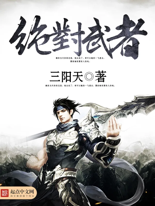 《绝对武者》小说封面