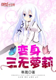 《变身三无萝莉》小说封面