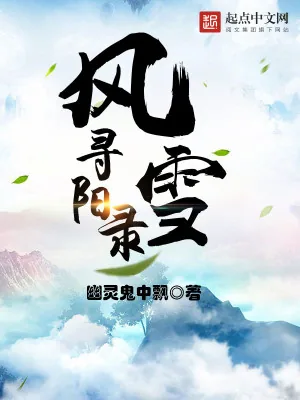 《风雪寻阳录》小说封面