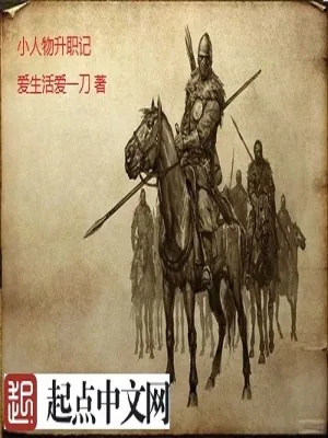 《骑砍之马踏天下》小说封面